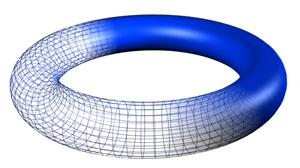 Torus