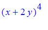 (x+2*y)^4