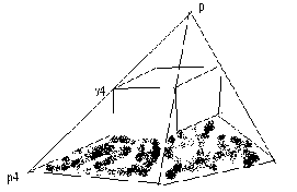 [Maple OLE 2.0 Object]