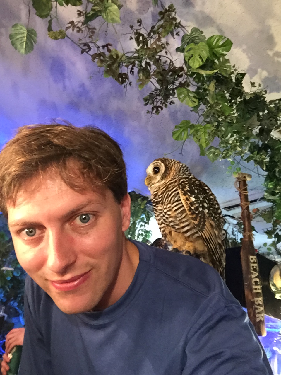 Dave Jensen wih owl