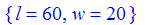 {l = 60, w = 20}