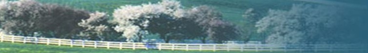 Banner of Lexington
