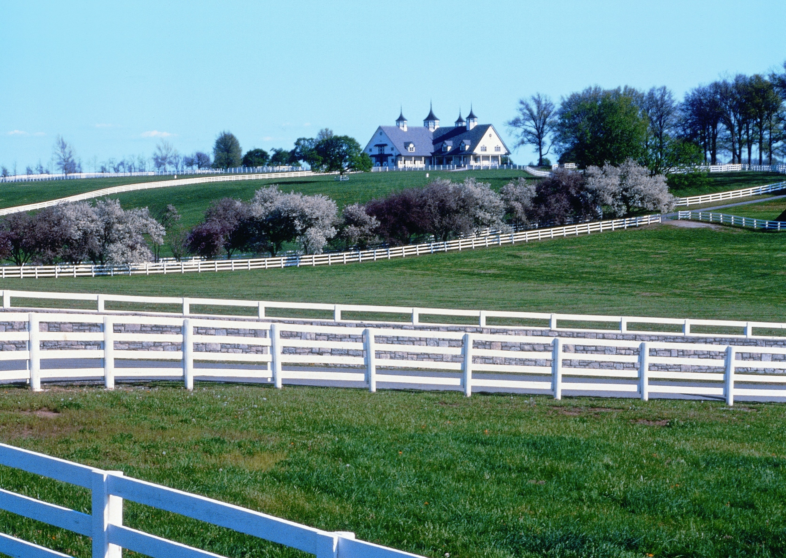Lexington farm