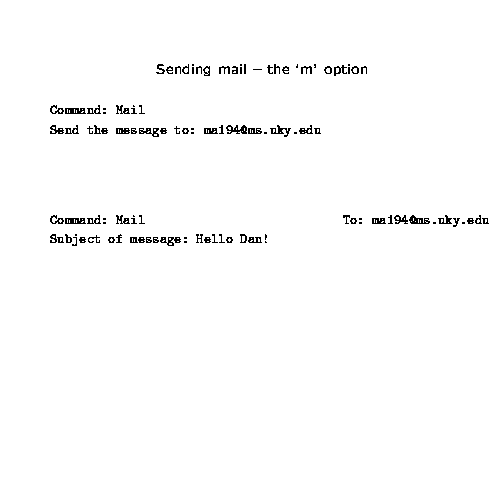 GIF image of slide day.022